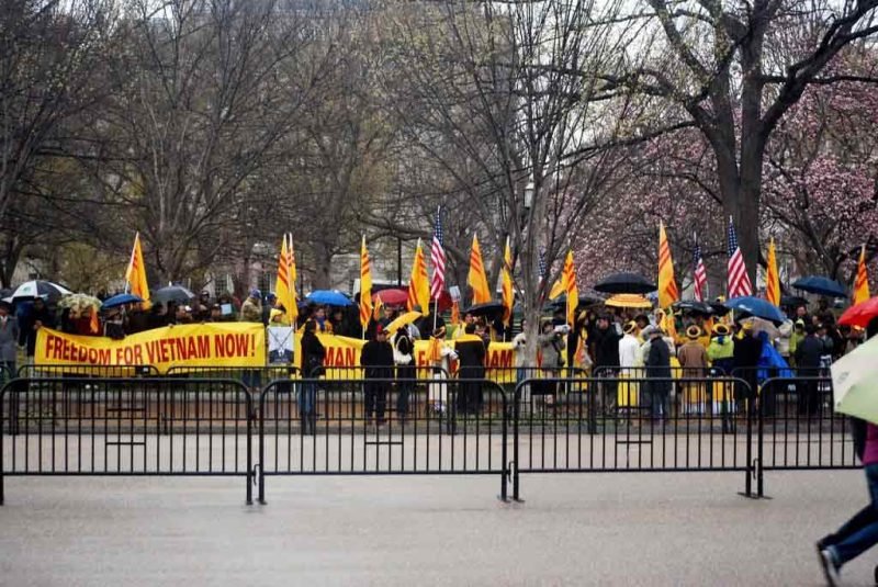 Evde sebze yetiştirmek, en iyi altısı