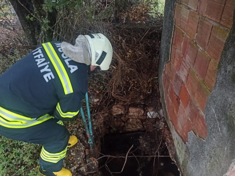 Danayı Lağım Çukurundan İtfaiye Ekipleri Çıkardı